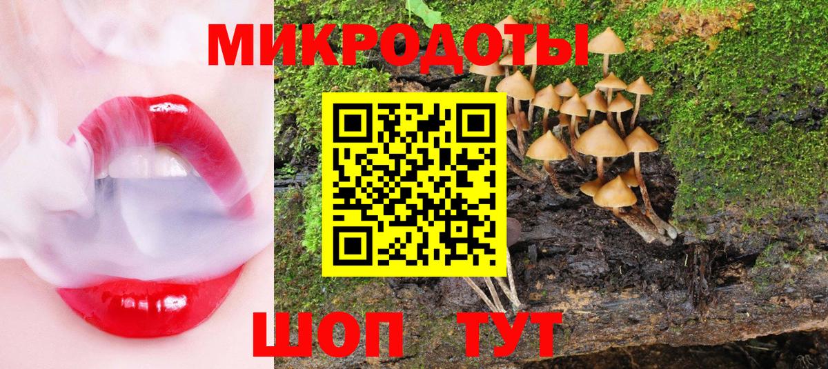 Балабаново  Псилоцибиновые грибы Psilocybe  Вход с VPN  Галлюциногенные грибы ЛСД 