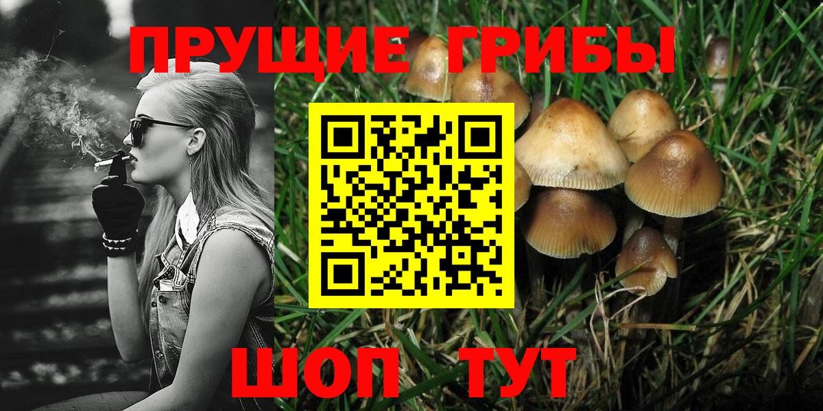 Галлюциногенные грибы мухоморы Балабаново