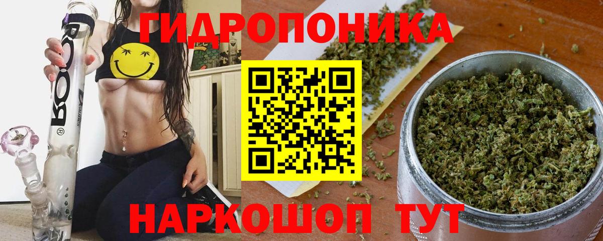 Бошки Шишки планчик Балабаново